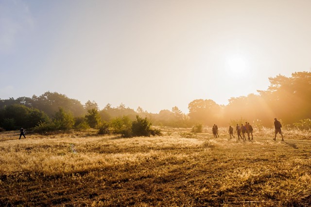 wandelaars op de heide in het goudgele zonlicht