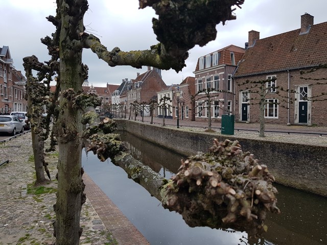 Bomenwandeling Amersfoort