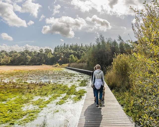 Vlonderpad Wallebos