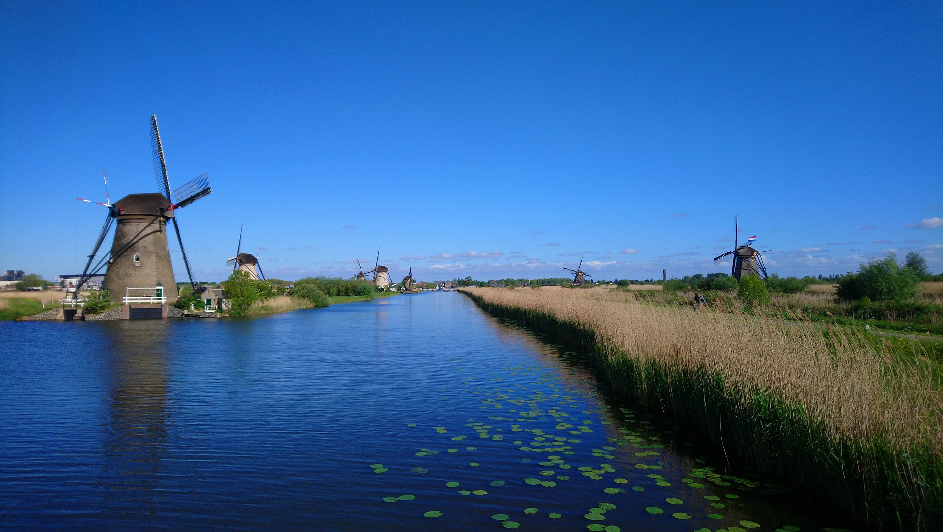 Zuid Holland Wandelroute Met Reuma
