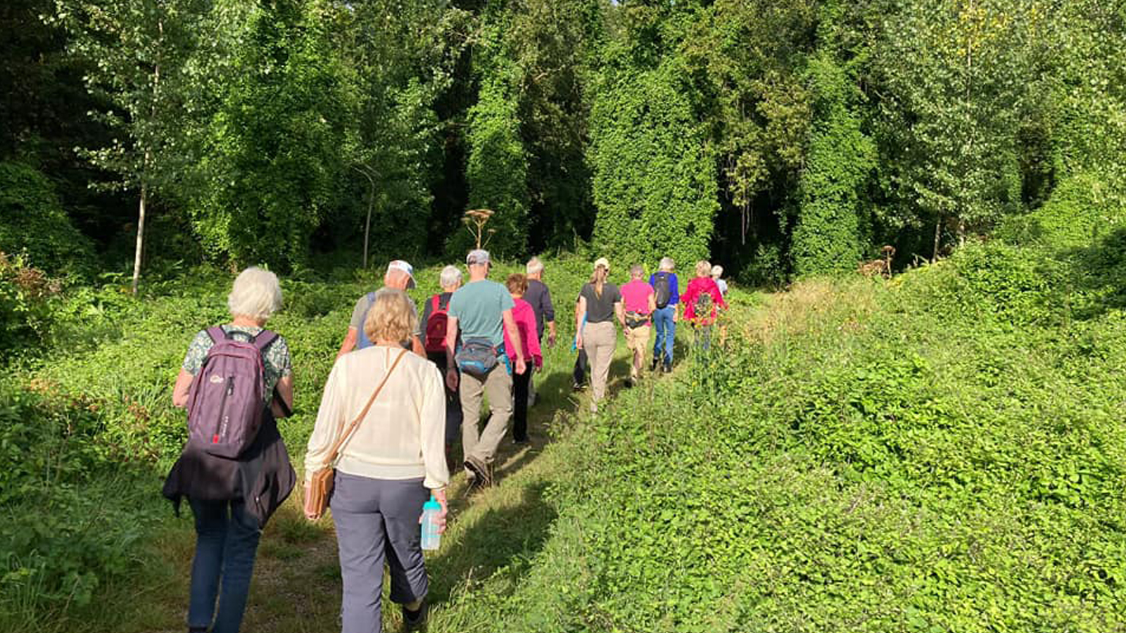 Header Almere De Maandagochtend Wandeling
