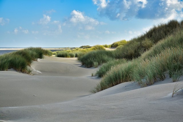 De 5 mooiste wandelroutes langs de Belgische kust - Wandeltip #1 Westhoekwandeling (10,5 km)