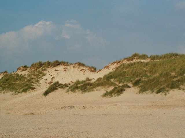 De duinen bij Schoorl