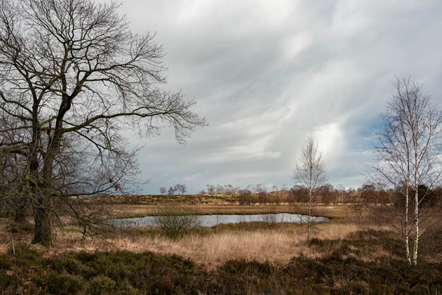 Wandelen in de ijstijd Landgoed De Hamert