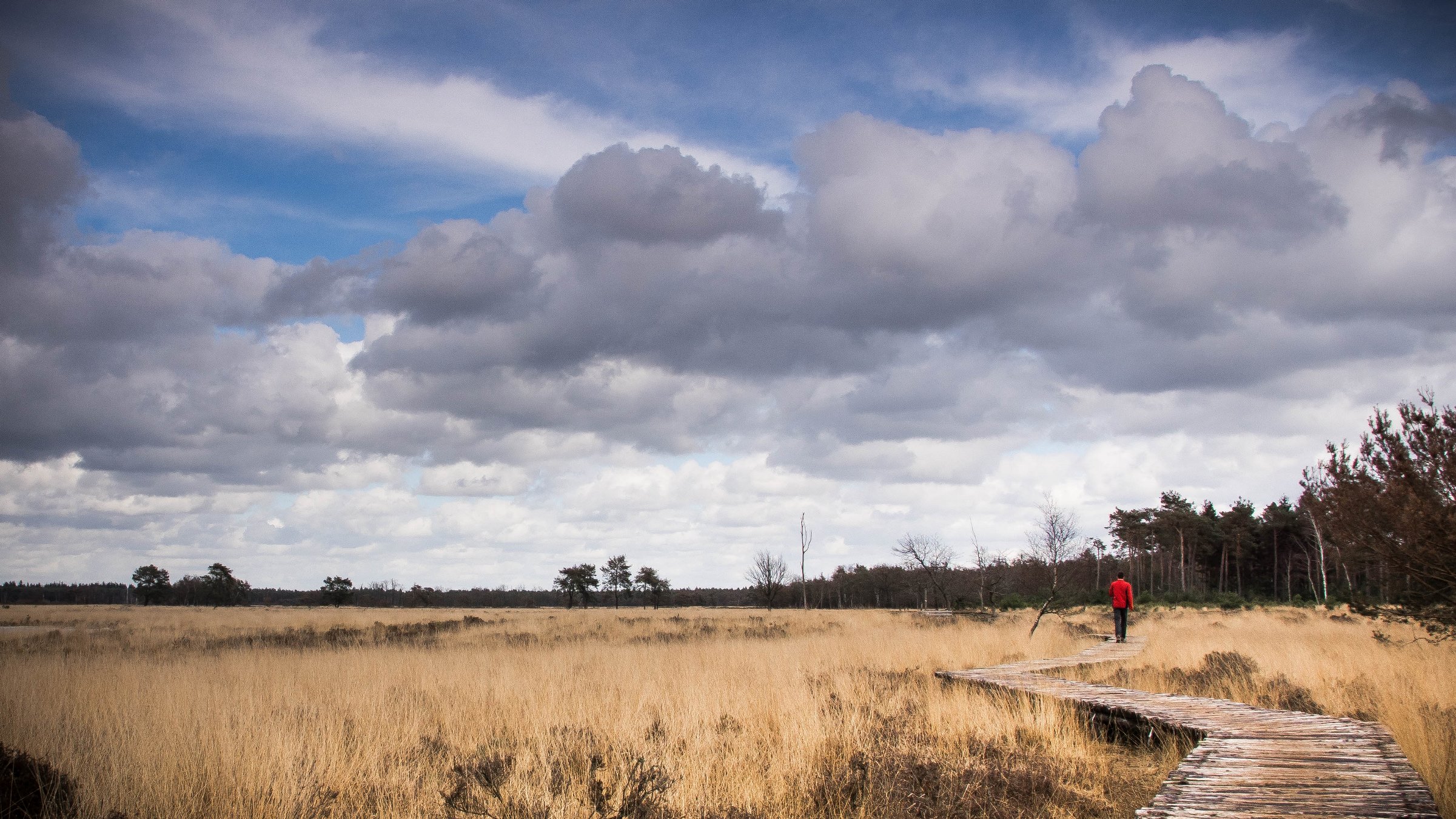 Wandelen door de natuur