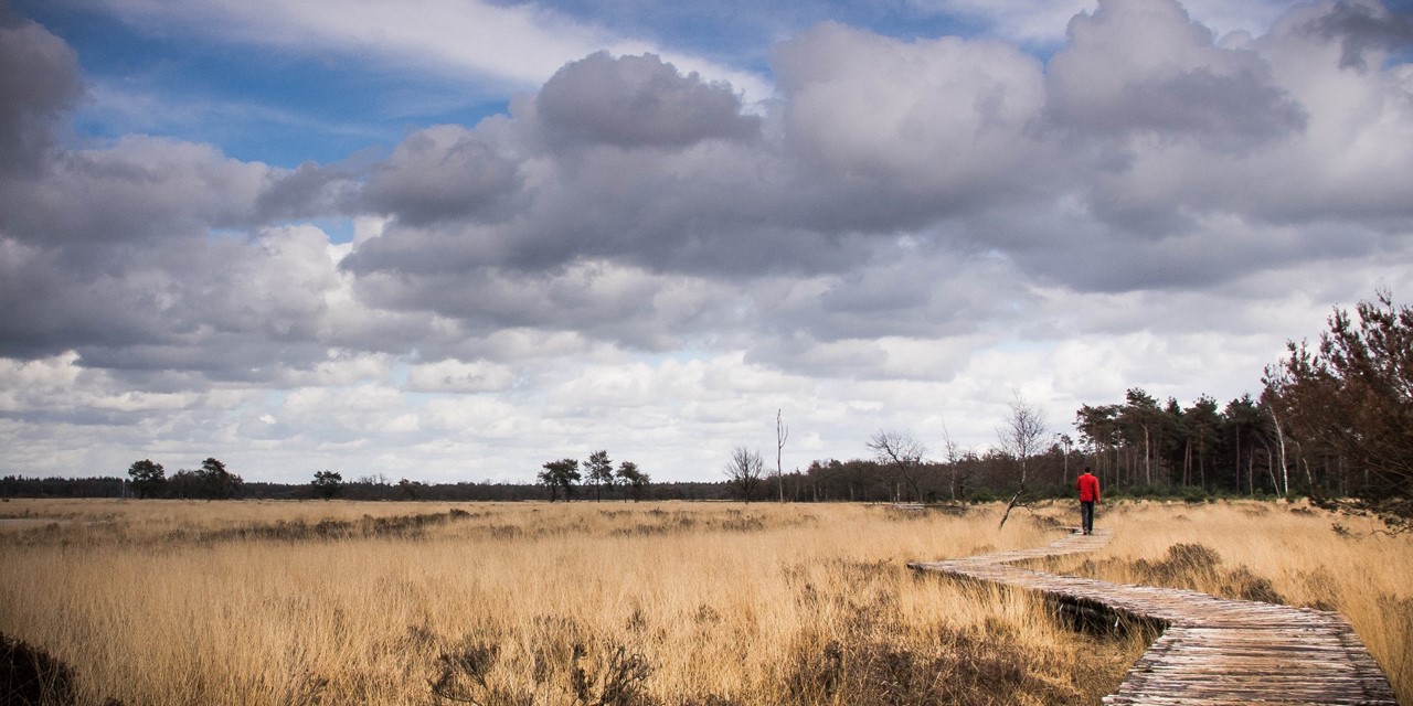 Wandelen door de natuur