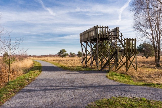 Ontdek De Groote Peel Boswachterspad Mussenbaan