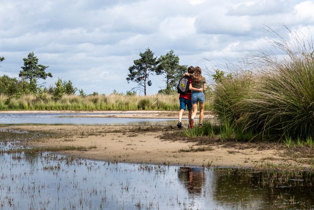 Afbeelding Grenspark Kalmthoutse Heide