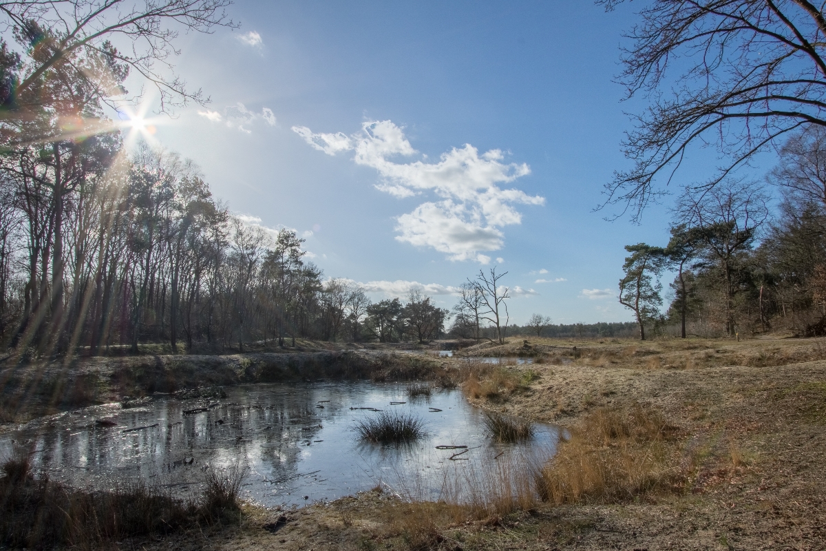 De Maashorst Noord-Brabant