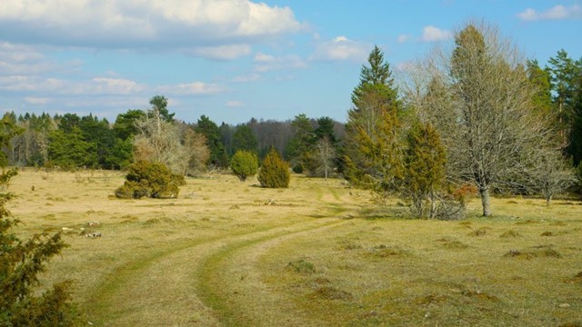 Afbeelding 4 | Wandelnet Brengt Ode Uit Aan Onverhard Wandelen