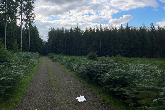 Wandelwoorden deel 3 witte vlag; tissue op straat