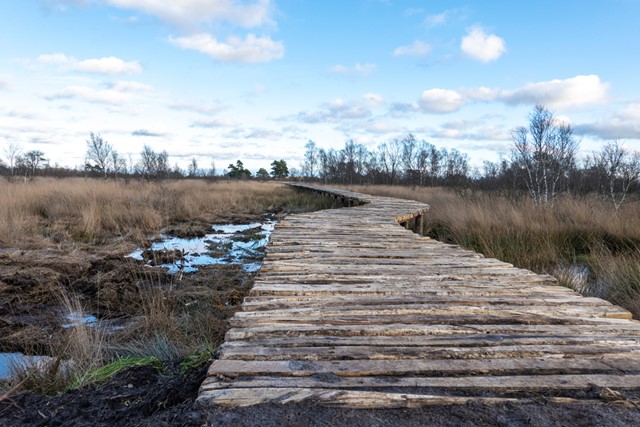 een houten vlonderpad door het moeras van De Groote Peel.