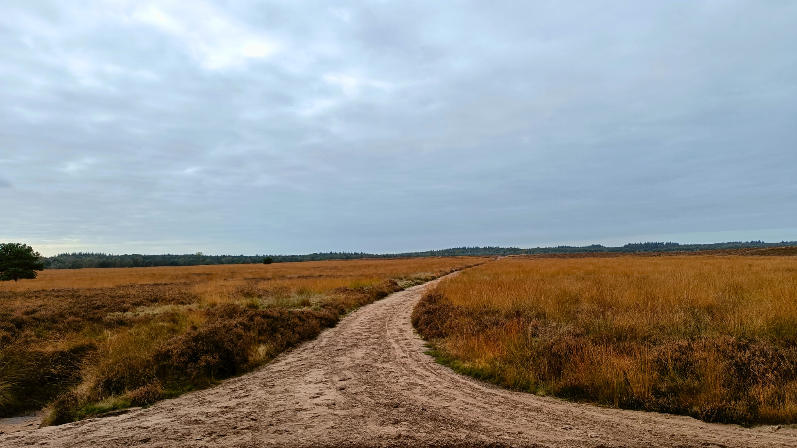 Wandelroute Ginkelse Heide Schaapskooiroute En Airborne Monument
