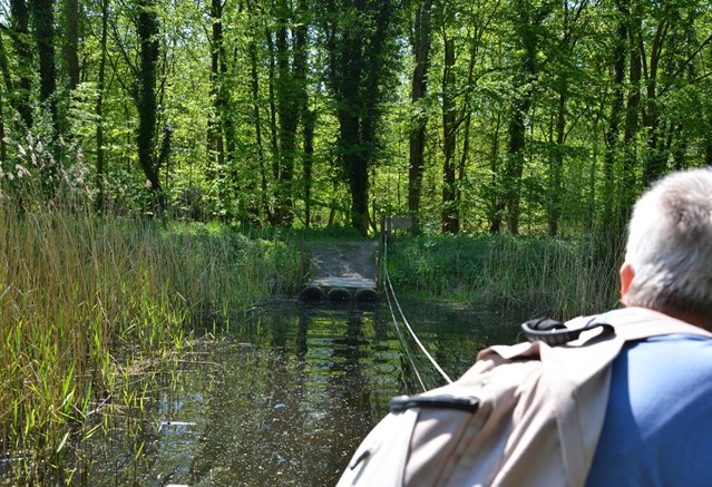 Trekpontje in het Harderbos