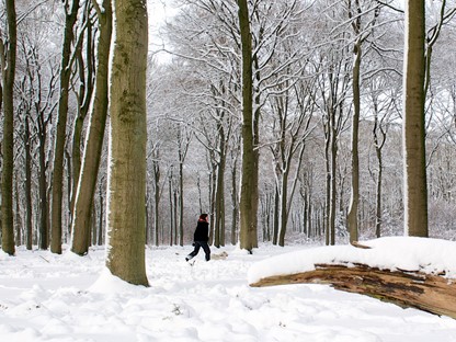 Winters landschap