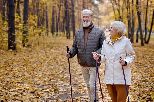 Werk Jezelf Al Wandelend In Het Zweet : Nordic walking