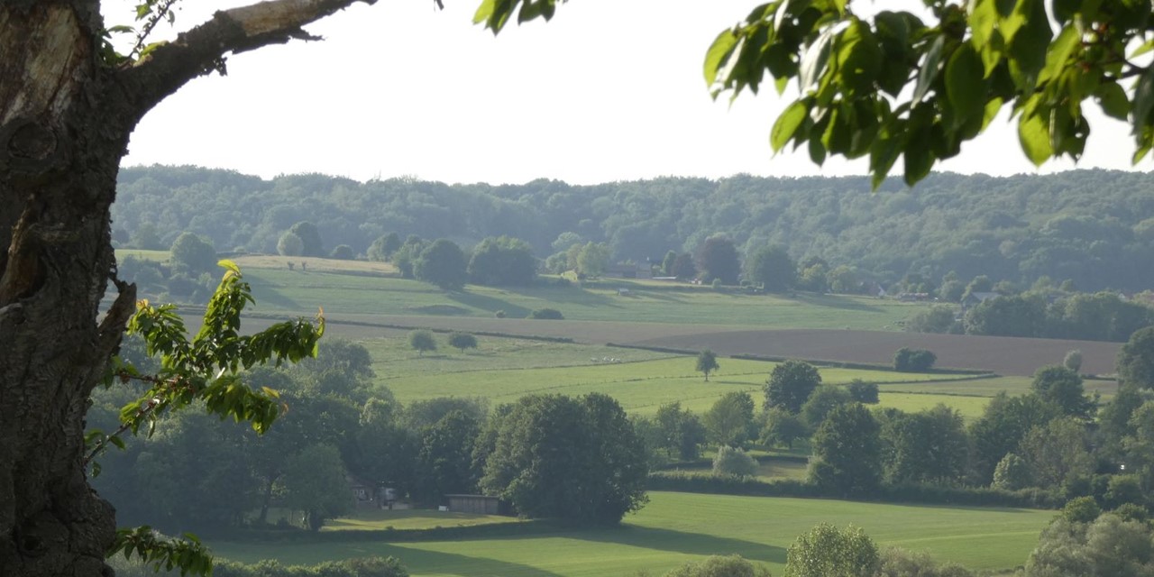 panoramisch uitzicht over het Geuldal in het groen.