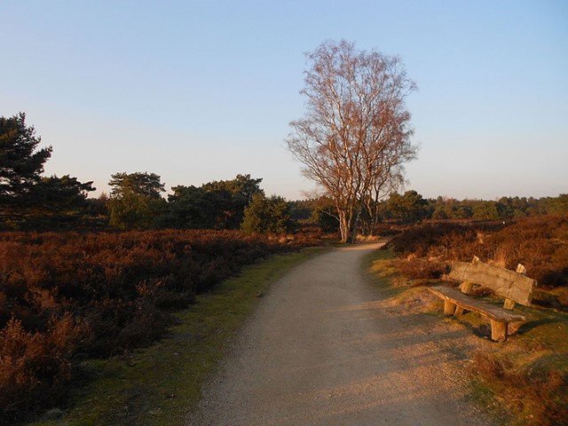 Afbeelding 5 | Wandelroutes in Limburg: 10 tips