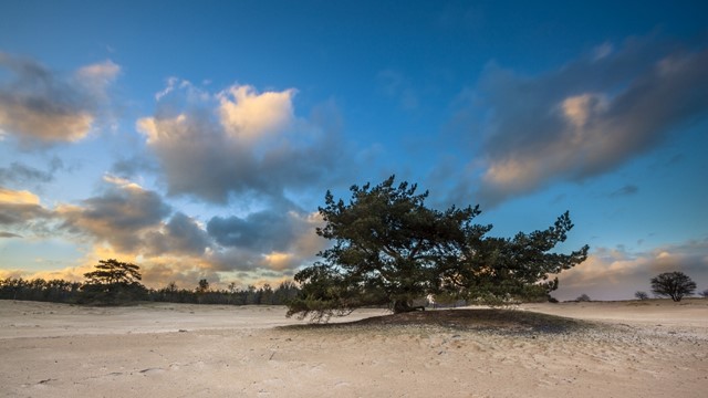 Nationaal Park Drents-Friese Wold