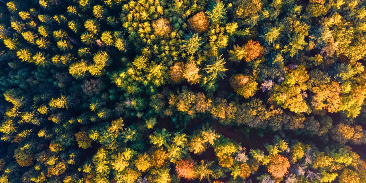 Wandelroute Balloërveld Balloo