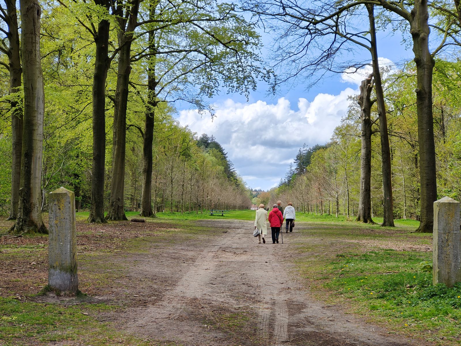 Wandelroute België Brugse ommeland: Chartreuzinnenbos wandelen