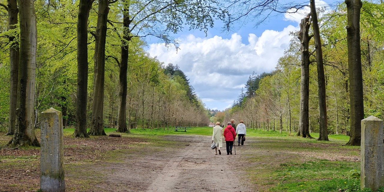 Wandelroute België Brugse ommeland: Chartreuzinnenbos wandelen