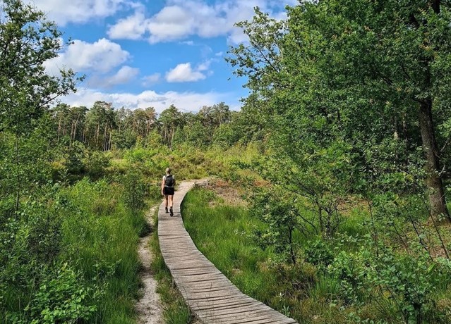 Vlonderpad Nationaal Park Hoge Kempen