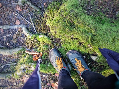 afbeelding van barefoot wandelschoenen op het mos op boomwortels.