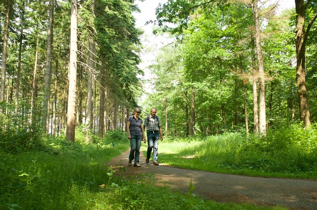 Afbeelding 2 | Wandelroutes in Friesland: 5 tips