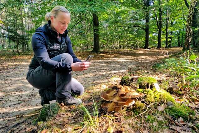 afbeelding van Andrea die een foto maakt van paddestoelen.