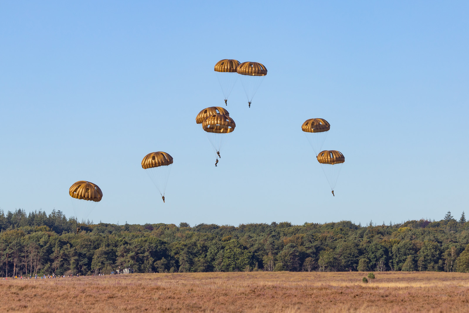 paratroopers in de lucht boven de Ginkelse Heide tijdens 75 jaar Bevrijding