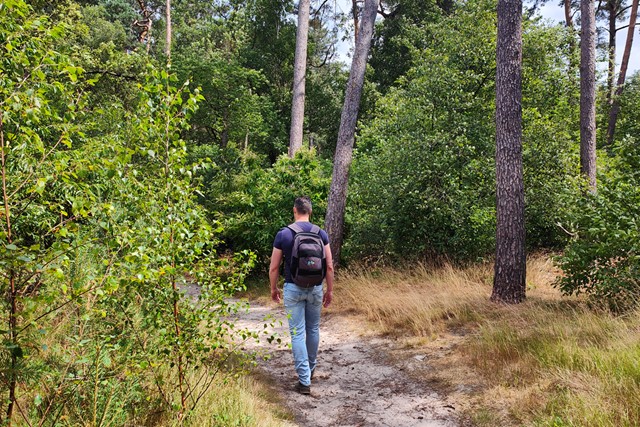 man wandelt in de natuur.