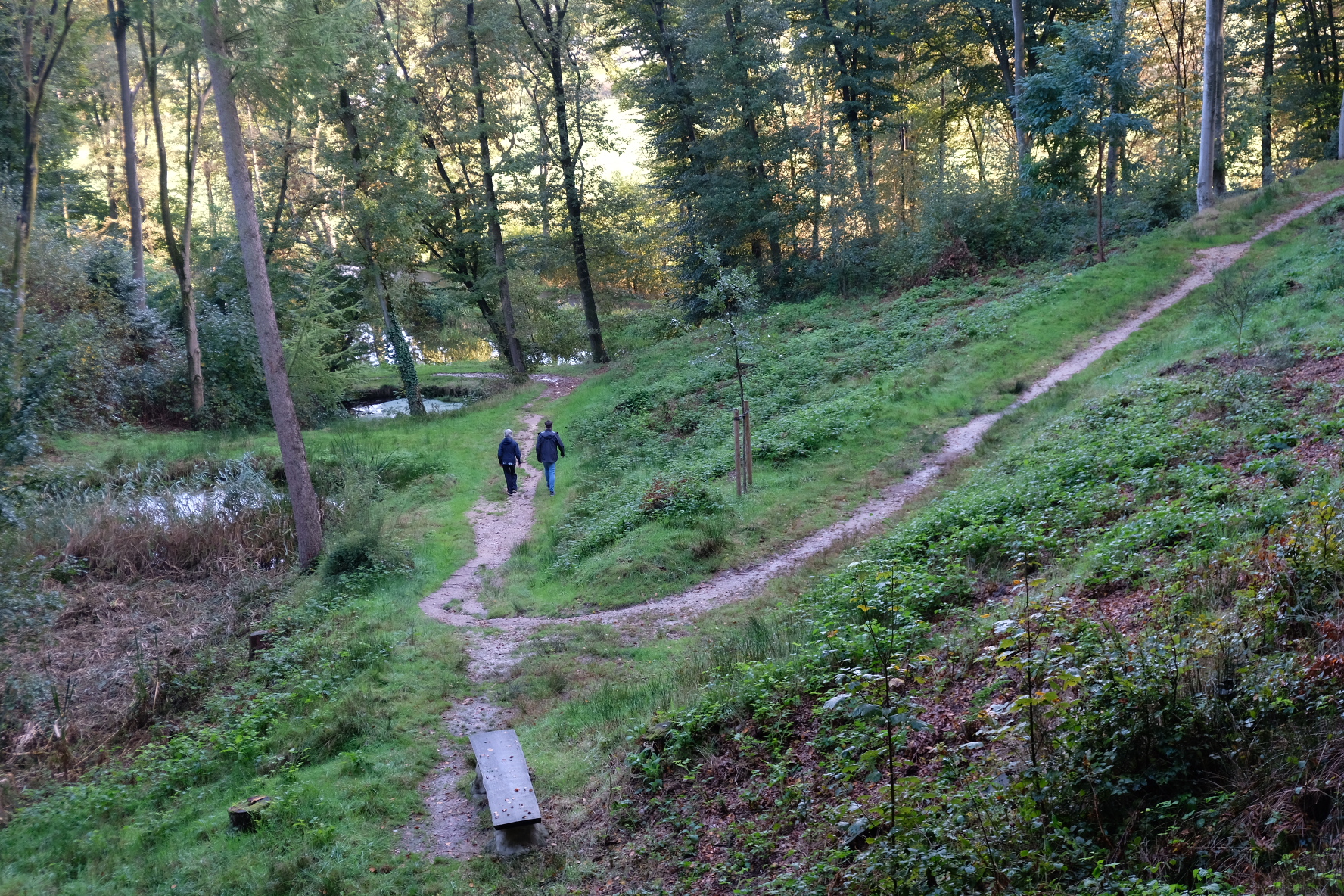 Review Xsensible Oulu Women wandelschoenen Landgoed Duno