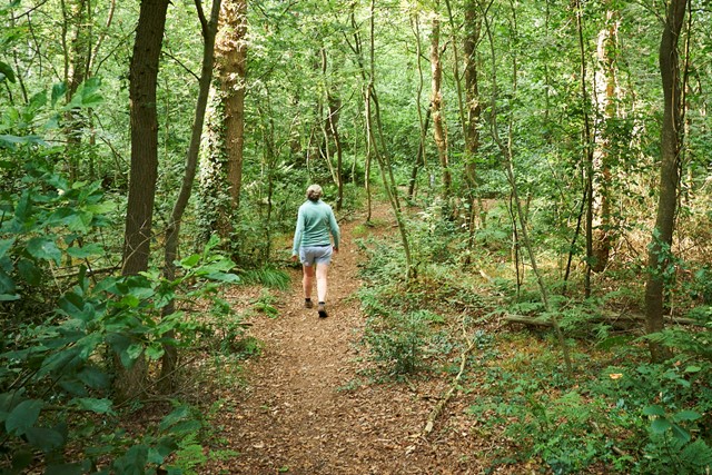 Wandeling Blesdijkerheide, Friesland
