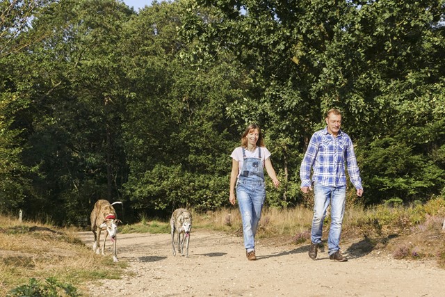 man en vrouw wandelen met hun honden op een zandweg in 't Leesten.