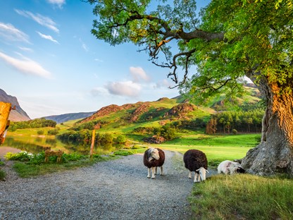 Nationaal park Lake District