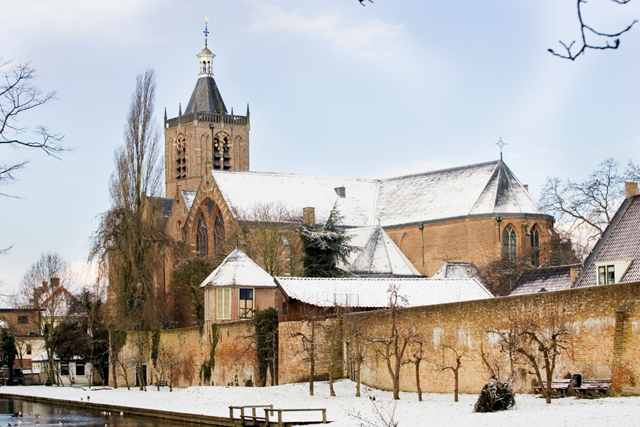 Stadswandeling Historisch Vianen