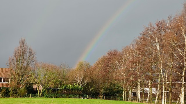 afbeelding van een regenboog.