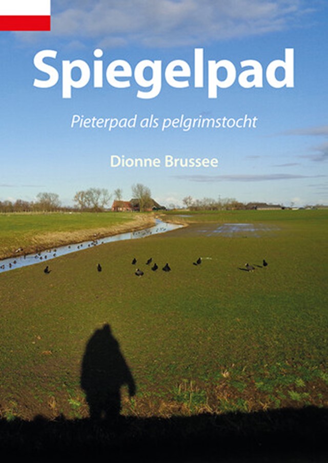 Spiegelpad (1)