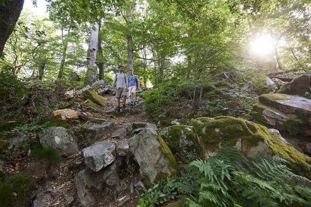 Tourismus Zentrale Saarland