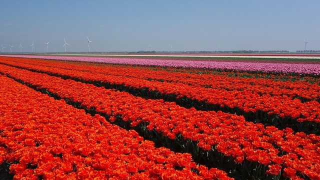 Rivierduinpad (Flevoland)