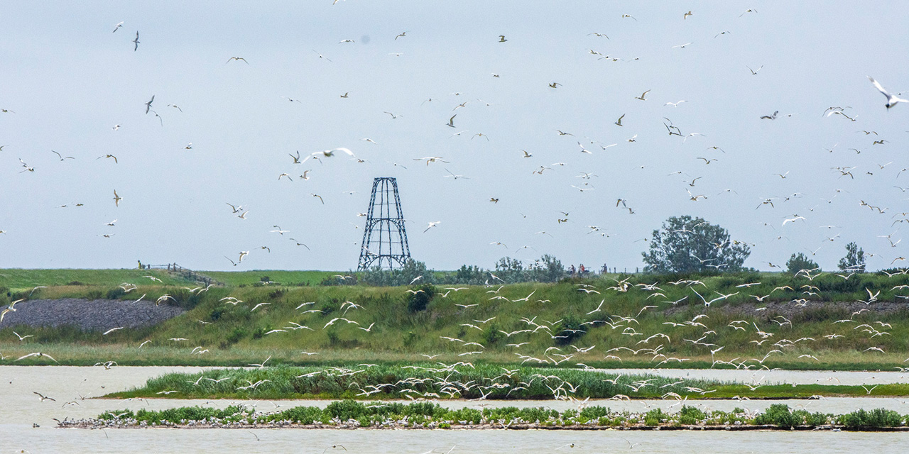 Wagejot met de IJzeren Kaap op de achtergrond