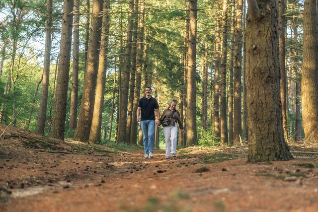 Twee mensen wandelen door de bossen bij Driebergen