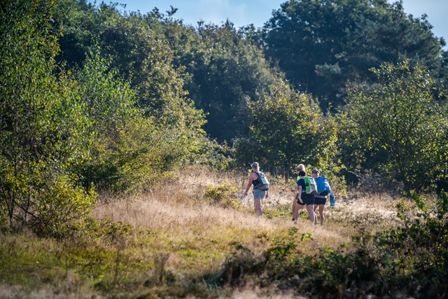 Zevenheuvelenhike