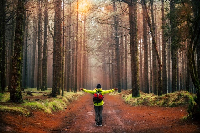 afbeelding van een vrouw die de rust en stilte in het bos ervaart.