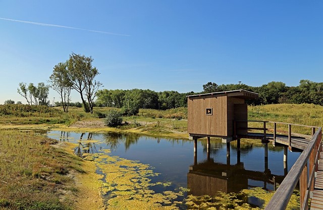Wandelvakantie Met De Camper Zwin Natuurpark