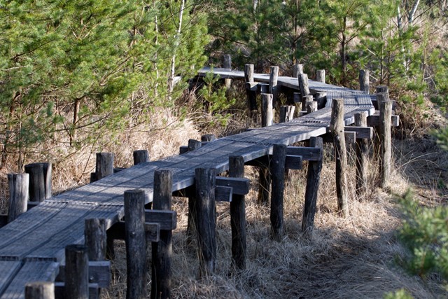 afbeelding van een vlonderpad in Dwingelerveld