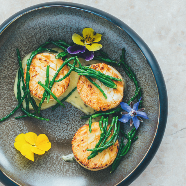 Plantaardig koken met de feestdagen 3 kerstrecepten, knolselderij scallops.