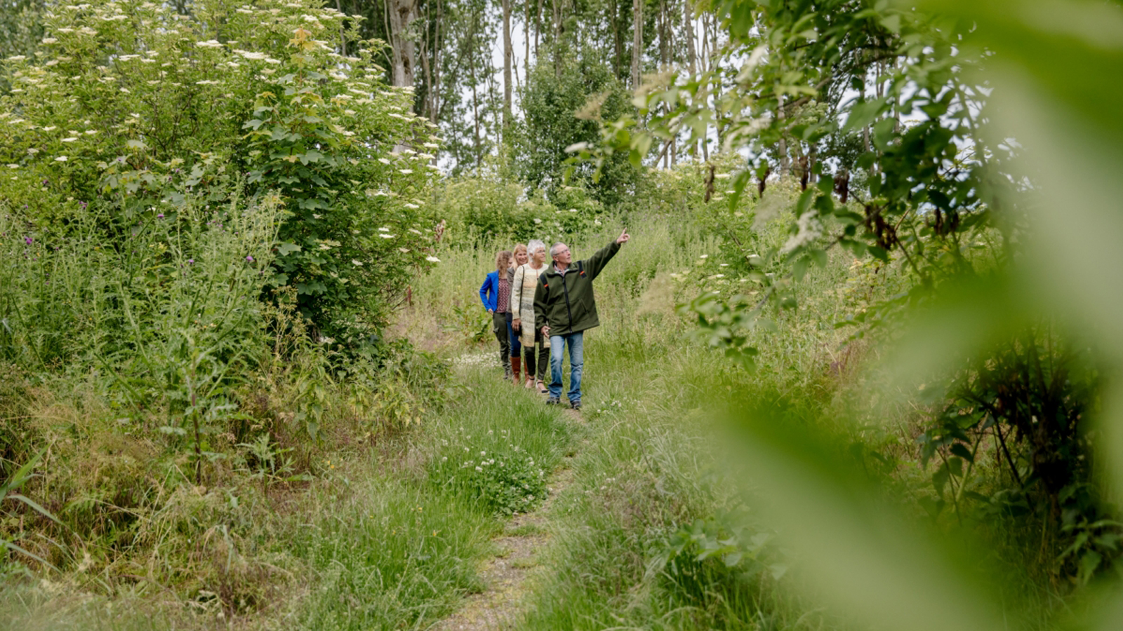 Groep wandelaars in het bos met een boswachter die omhoog wijst