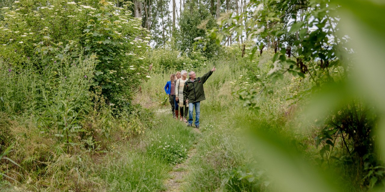 Groep wandelaars in het bos met een boswachter die omhoog wijst